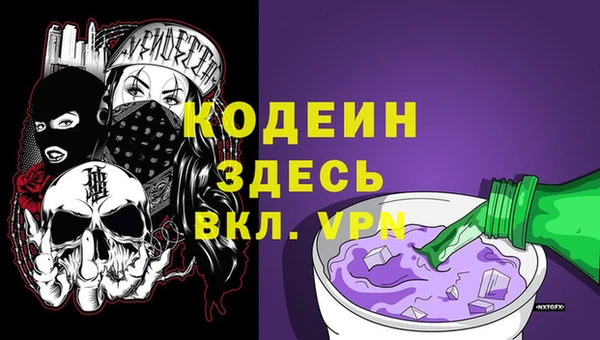 индика Арсеньев