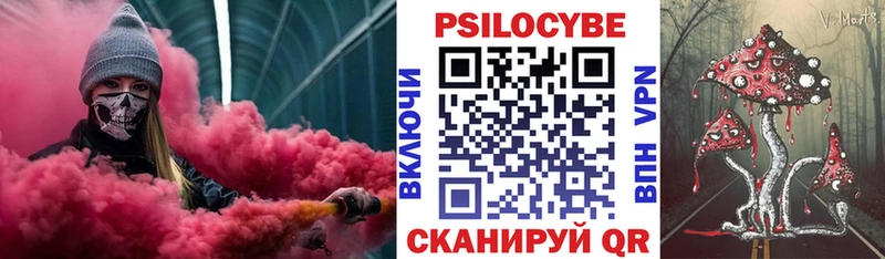 как найти наркотики  Вязники  Псилоцибиновые грибы Magic Shrooms 